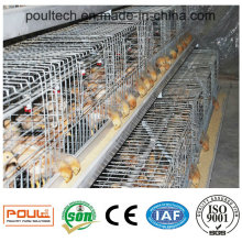 High Quality Automatic Chicken Coop Pullet Raising Equipment